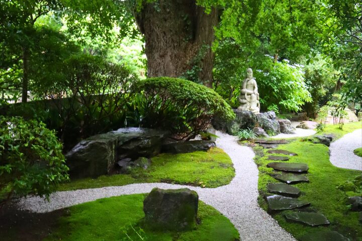 門を入ってすぐの庭
