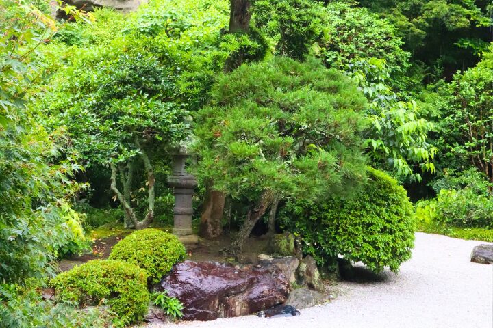 有料区画の入口あたり