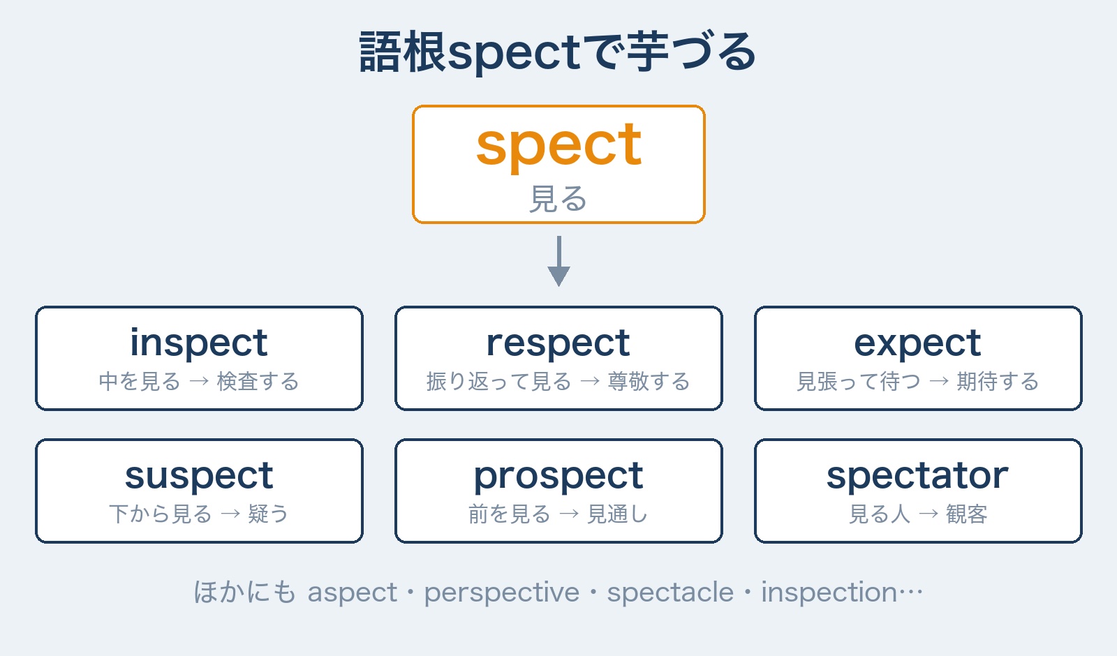 語根spectで芋づる spect(見る)からinspect・respect・expect・suspect・prospect・spectatorがつながる図解